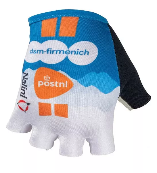 2024 DSM Firmenich PostNL White Gloves